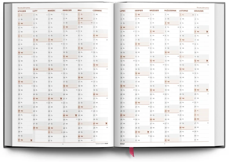 TeWO_2027_B5_roczny_plan_pracy.webp