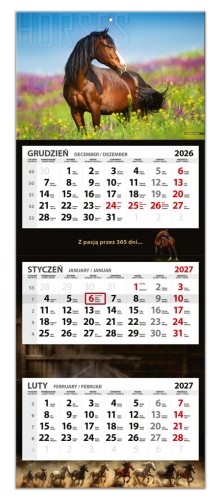 KTL_Jezdziecki_2027_caly.jpg