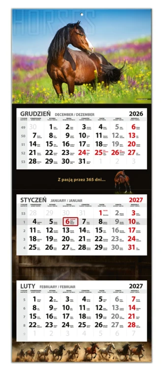 KTL_Jezdziecki_2027_caly.jpg