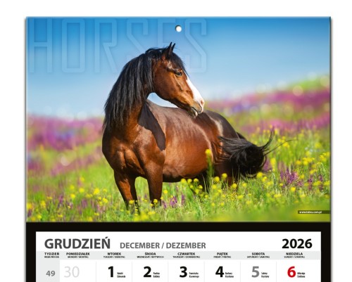KTL_Jezdziecki_2027_glowka.jpg