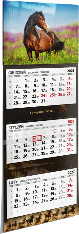 KTL_Jezdziecki_2027_3D.jpg